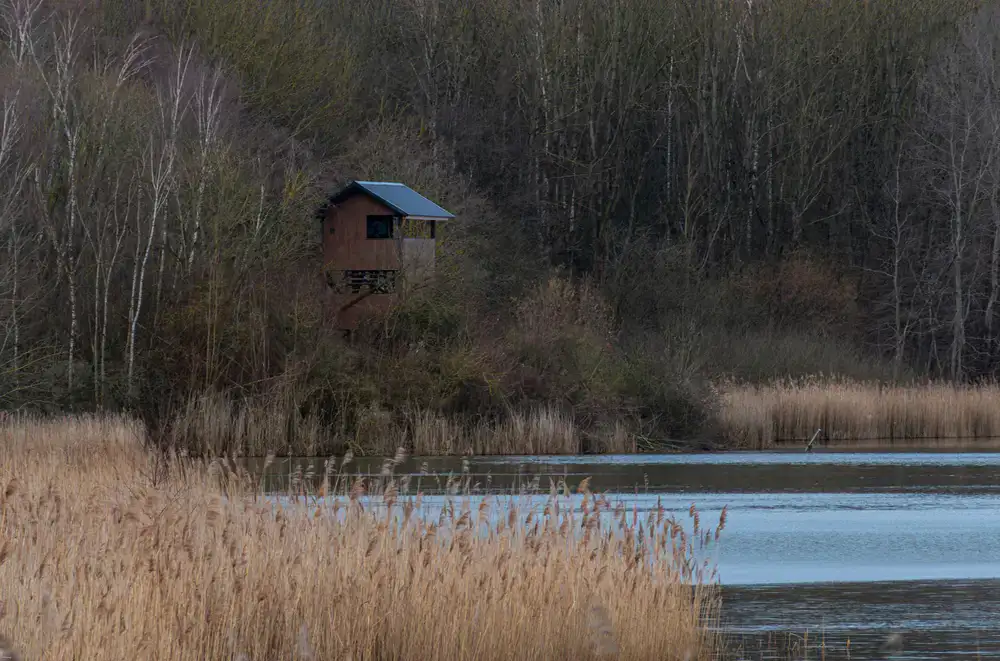 Calm inland lake with observation hide
