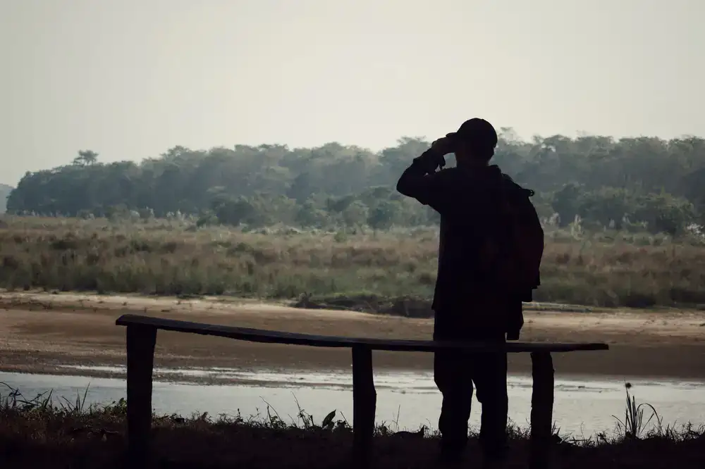 Birdwatcher observing quietly from a distance
