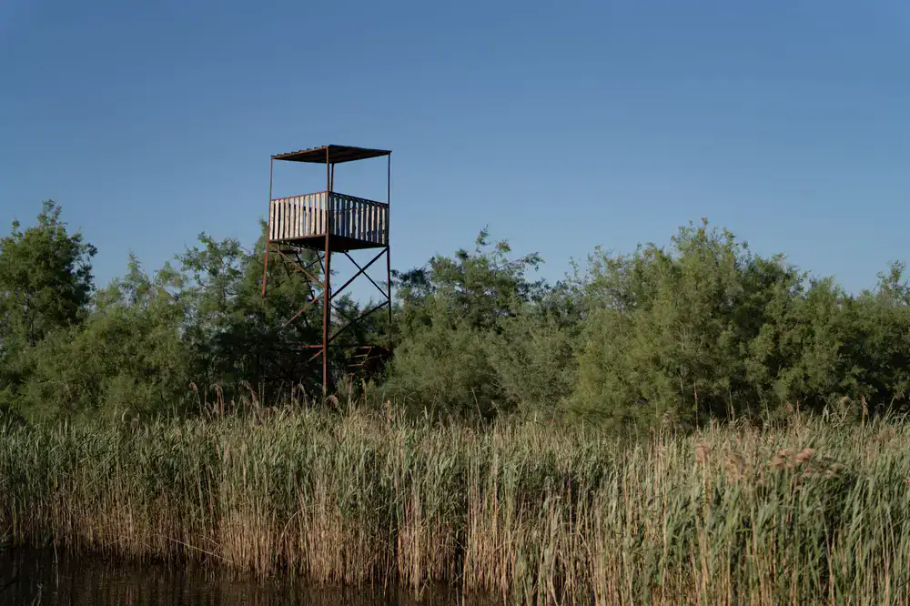 Wooden observation hide overlooking a marsh